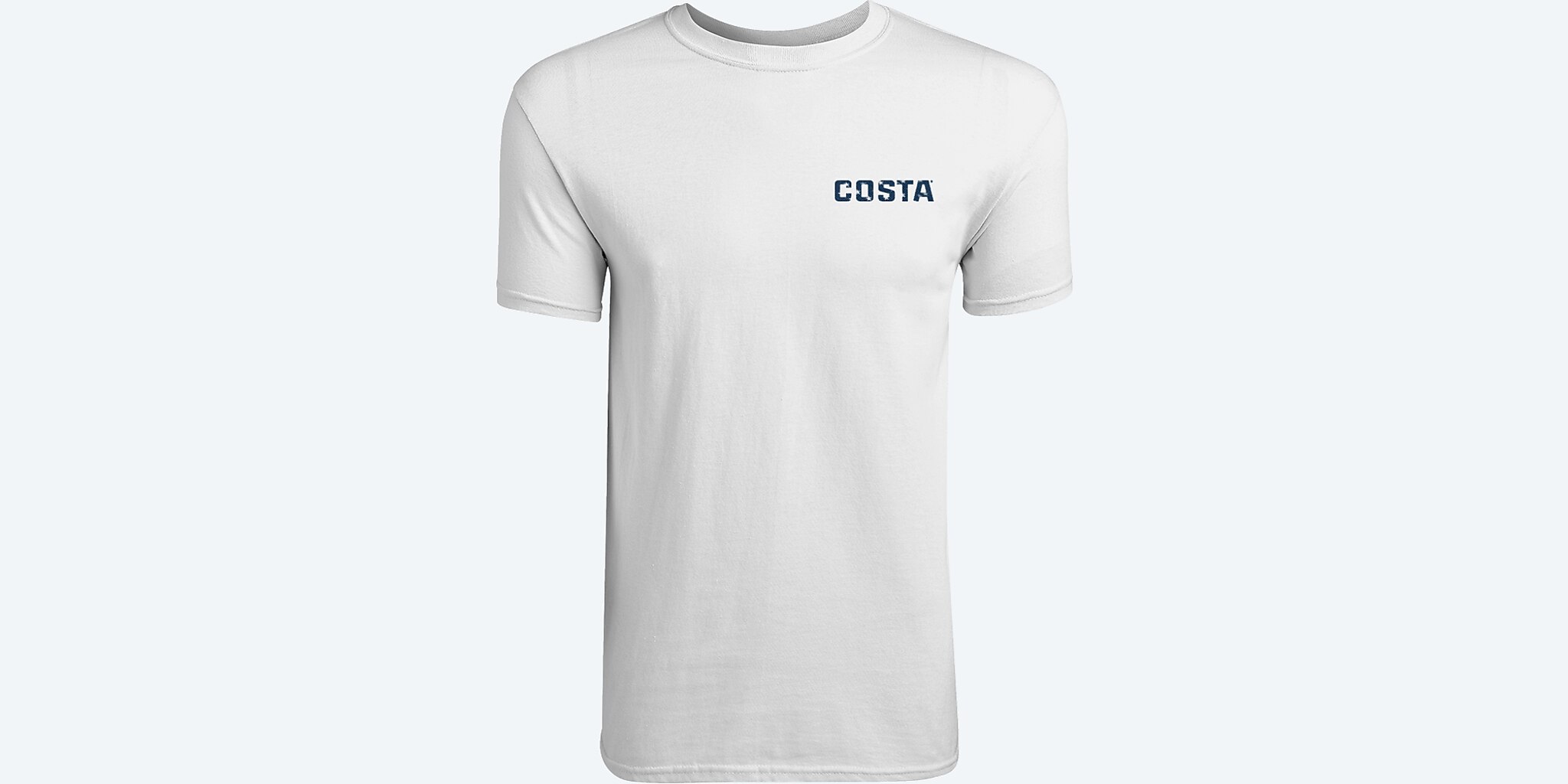 Costa Flag