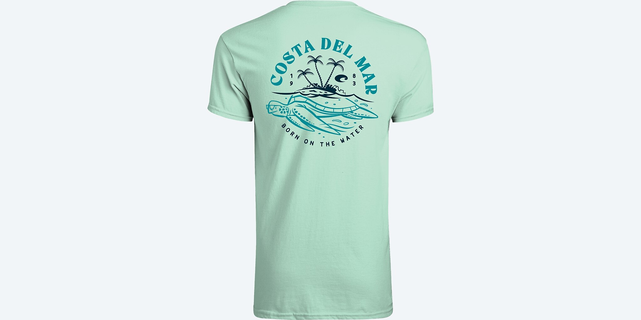 Price Sea Turtle