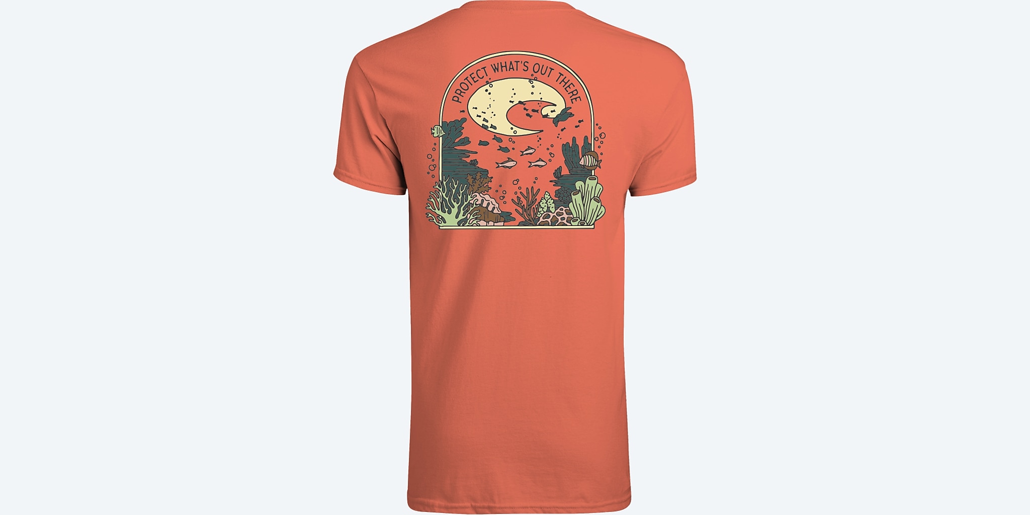 Reef Scene