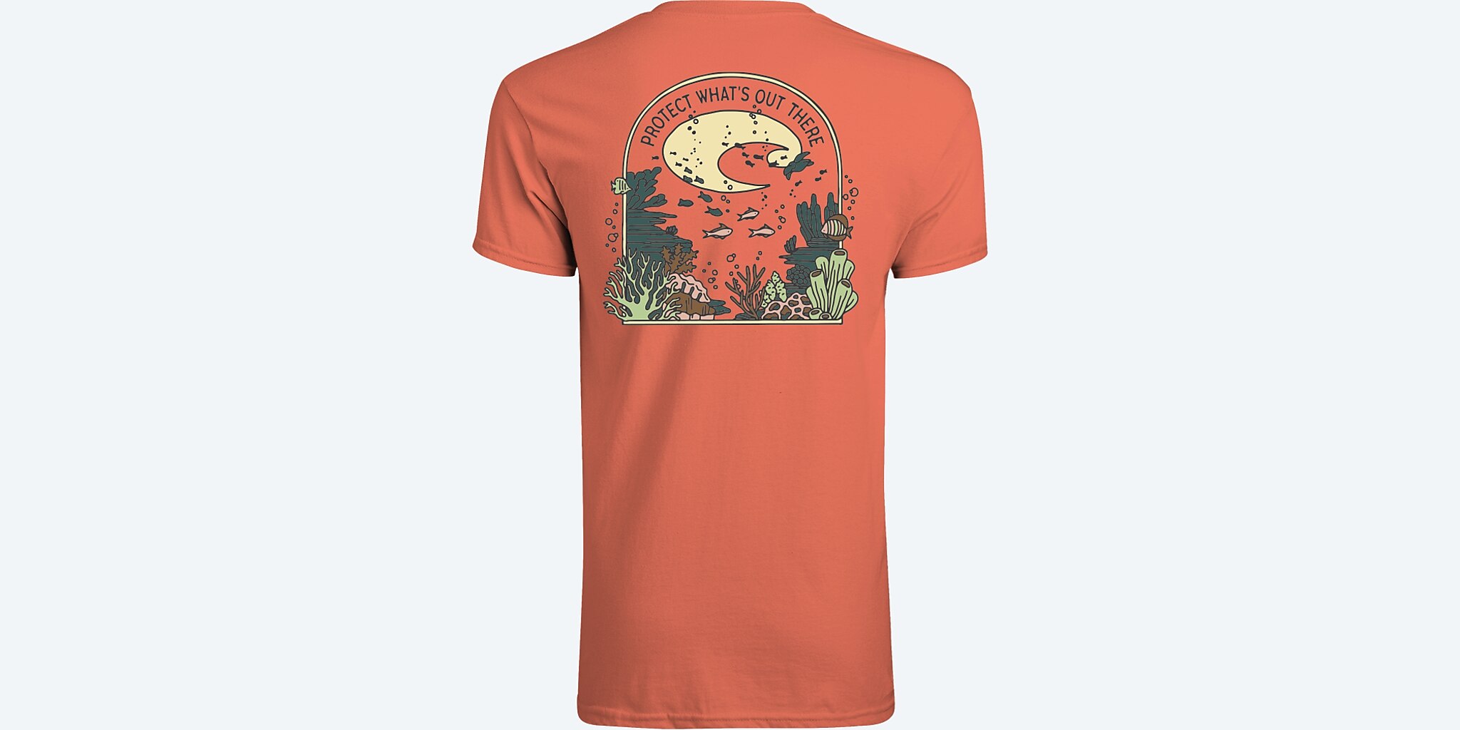 Reef Scene