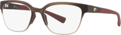 - Transparentes