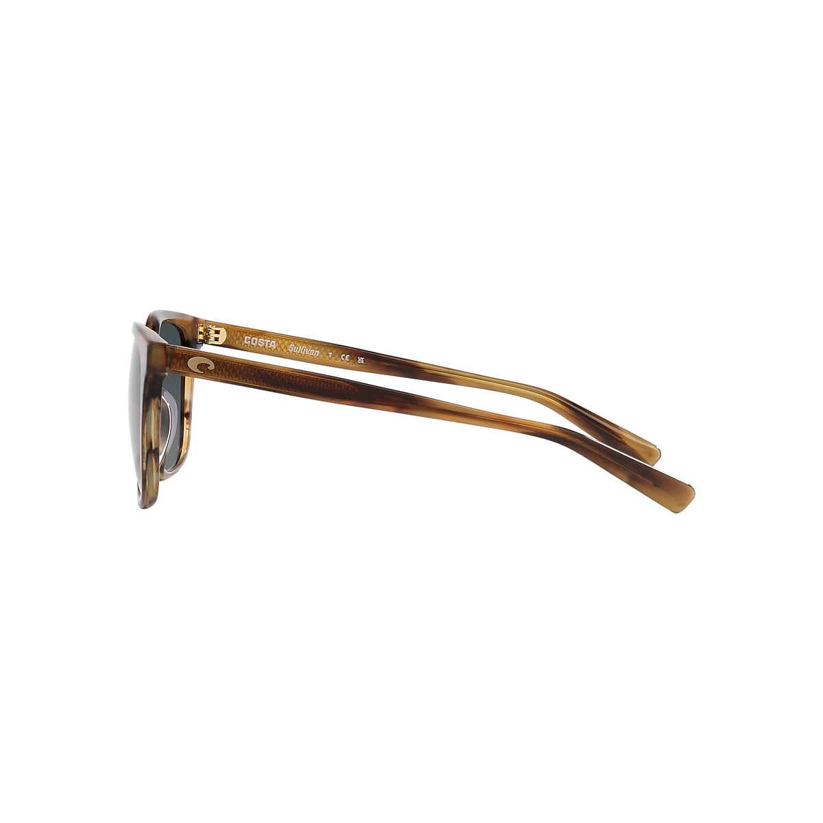 Costa tortoise shop shell sunglasses